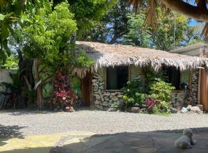 Un jardín fuera de Cahuita Vibe