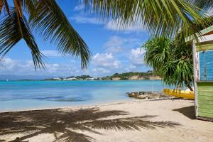 a beach with a palm tree and the ocean at Appartement design & confort- Route des hôtels in Le Gosier
