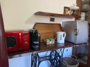 a kitchen counter with a microwave and a toaster oven at Los Perros Hermanos in Travedona
