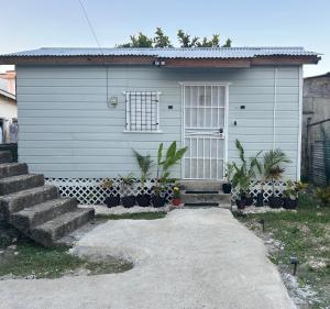a blue house with potted plants in front of it at The CoZia in Belize City