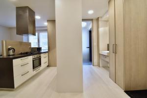 Kuchyňa alebo kuchynka v ubytovaní Comfortable apartment in Brno