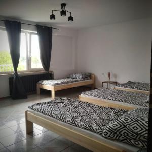 a bedroom with two beds and a window at Apartament blisko Parku i Granicy PL-DE in Łęknica