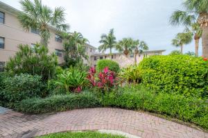 een tuin voor een gebouw met palmbomen bij 6700 Sunset Way Unit 702 in St Pete Beach +55 foto's