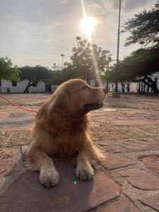 Afbeelding uit fotogalerij van Hostal Colonial de Santander in Girón +26 foto's