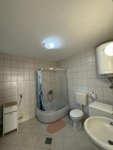 a bathroom with a shower and a toilet and a sink at City Center Punte Apartment in Skopje
