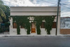 un edificio con l'edera che cresce sul lato di Casa La Piedra a Mérida