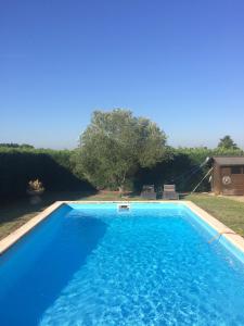a large blue swimming pool in a yard at Château la Renommée in Saint-Laurent-des-Combes