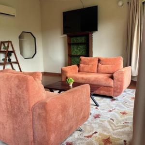 a living room with two orange couches and a television at Arenal Roca Lodge & Bungalows in Fortuna