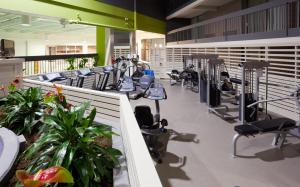Фитнес-центр и/или тренажеры в Holiday Inn Burlington Conference Centre by IHG