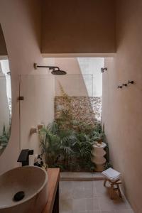 un bagno con un lavandino e una pianta nella doccia di Casa La Piedra a Mérida Altre 10 foto