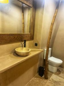 a bathroom with a sink and a toilet at Maison as Cambous in Sauveterre-la-Lémance