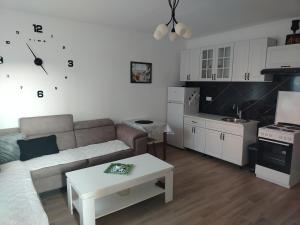 Kuchyň nebo kuchyňský kout v ubytování Apartman Lazar