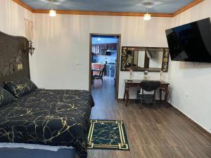 una camera da letto con un letto, una scrivania e una televisione di CÚPULAS BLUE prívate residence club a Cozumel