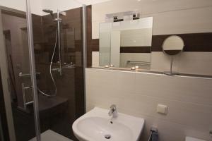 a bathroom with a sink and a shower and a mirror at FeWo Kruse am Wurmberg in Braunlage