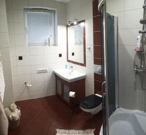 a bathroom with a sink and a mirror and a shower at Palerma Apartament in Darłowo +11 photos