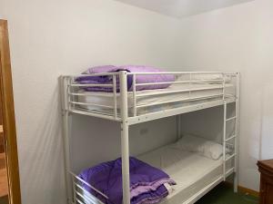 2 łóżka piętrowe w pokoju z fioletową pościelą w obiekcie Apartamento Plaza Pradollano 2 w mieście Sierra Nevada