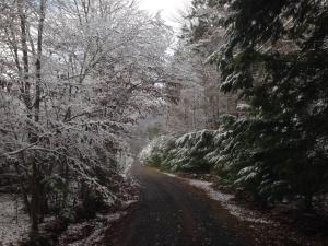 1894 Catskills Farmhouse Retreat v zimě