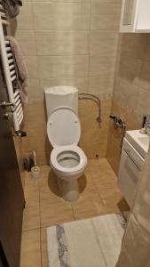 a small bathroom with a toilet and a sink at Villa Olga in Hévíz +2 photos