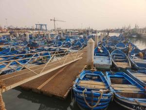 a bunch of blue boats parked in a dock at Hotel-Restaurant Le Kaouki in Sidi Kaouki