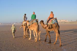 a group of people riding camels on the beach at Hotel-Restaurant Le Kaouki in Sidi Kaouki