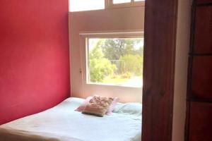 ein rotes Zimmer mit einem Bett und einem Fenster in der Unterkunft Hermosa, arbolada y espaciosa in La Floresta
