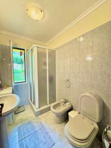 a bathroom with a toilet and a sink and a shower at The Sun Edge House in Ponta do Sol