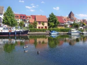 un groupe de canards nageant dans une rivière avec des bateaux dans l'établissement Appartement Hafenflair am Plauer See, à Plau am See 9 autres photos