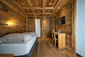TV a/nebo společenská místnost v ubytování Hôtel Le Grand Chalet