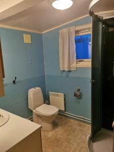 une salle de bain avec toilettes, lavabo et douche dans l'établissement Feriehus ved Fjellfroskvatnet, à Skjold