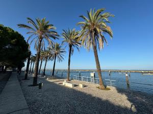 a row of palm trees on a sidewalk near the water at Sailboat Anand in Lisbon