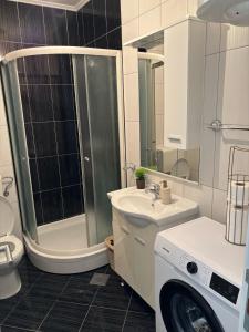 a bathroom with a shower sink and a washing machine at N&N Apartment in Čapljina