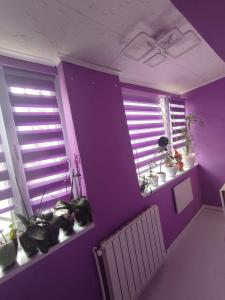 マンガリアにあるSophia's Homeの紫色の壁と窓があり、鉢植えの植物が飾られた部屋