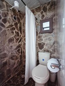 a stone bathroom with a toilet and a shower curtain at Apartamento en concepción entorno natural in Concepción