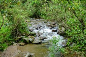 Příroda nedaleko kempu