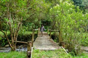 Příroda nedaleko kempu