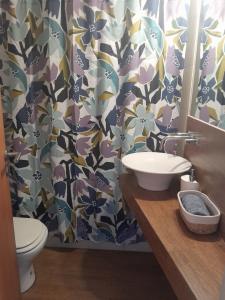 a bathroom with a sink and a toilet and a shower curtain at Carocito Departamento in San Carlos de Bariloche
