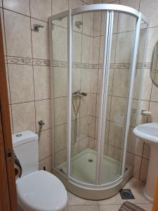 a bathroom with a shower with a toilet and a sink at Apartman Luka, Przno in Pržno
