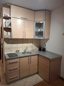 a kitchen with wooden cabinets and a sink at Apartman Luka, Przno in Pržno +4 photos