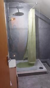 a shower with a glass door in a bathroom at Jasmine cottage-1 King bed room, 40 mins to Cotswolds 90 mins to Oxford and Bath in Great Malvern