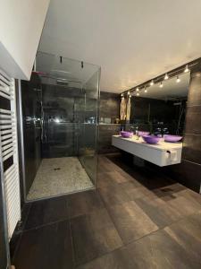 Afbeelding uit fotogalerij van Loft au pied du château in Belfort