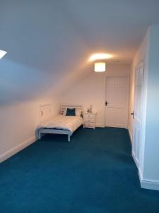 a bedroom with a bed and a blue carpet at Cosy East Clare Apartment in Coolcoosaun