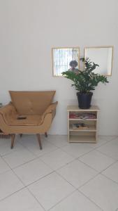 a room with a chair and a potted plant at pousada vista in Salvador