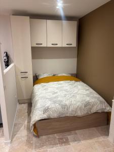 a small bedroom with a bed and white cabinets at Charmant appartement in Nancy