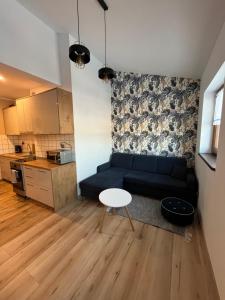 Kuchyň nebo kuchyňský kout v ubytování Luksusowy przestronny apartament