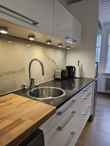 a kitchen with a sink and a counter top at Ferienhaus Luise, Mariannes Ferienwohnung in Rörvik