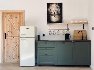 a kitchen with a white refrigerator and green cabinets at Dom Kacprowy - Brzegi Lasu - dwa apartamenty na wyłączność z ogrodem in Lipnica