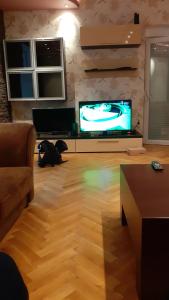 Gallery image of Vila Morava in Jagodina