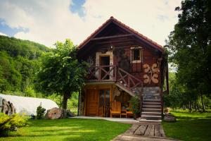 Příroda nedaleko apartmánu