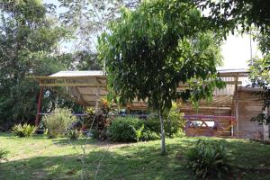 una casa in legno con un albero nel cortile di Reserva Natural Boutu a Puerto Asís