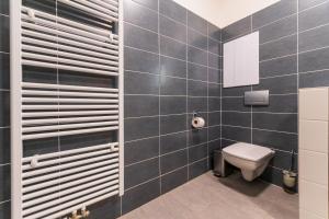 łazienka z toaletą i lustrem w obiekcie Apartmán Lipno G11 w mieście Frymburk +21 zdjęć